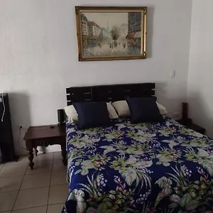 https://loft-aeropuerto.guatemalaantiguahotels.com